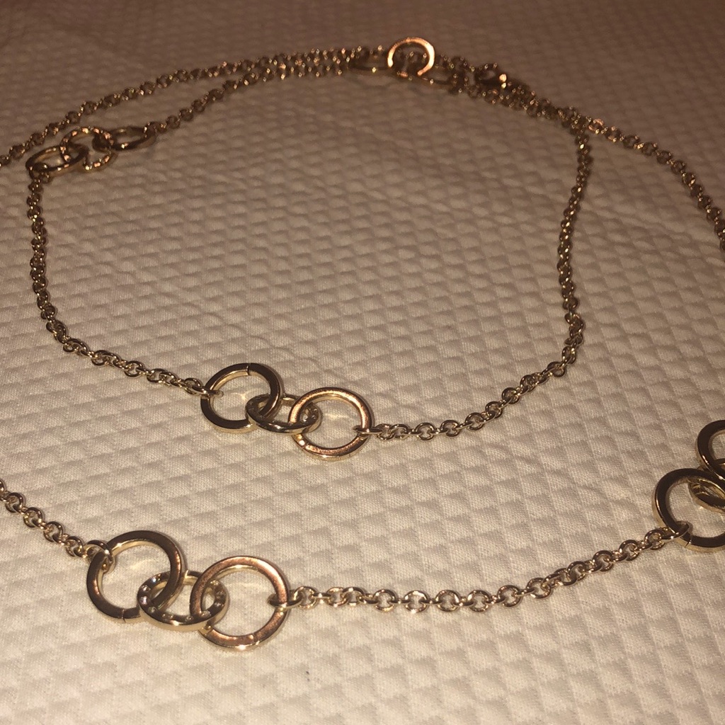 Banana Republic Long Layering Necklace 10$
